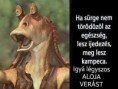 /album/fenykepgaleria/kep-forever8-jpg/
